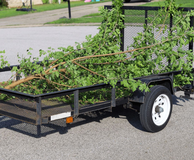 Tree Branch & Brush Disposal Calgary
