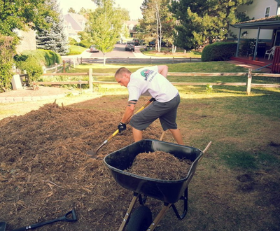 Yard waste removal Calgary