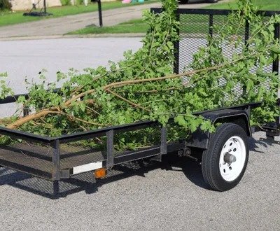 Tree Branch & Brush Disposal Calgary