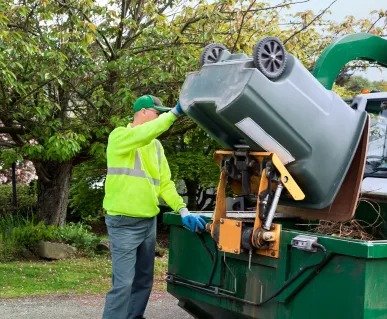 Yard Waste Removal service
