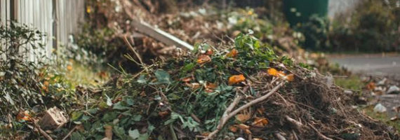 Efficient Garden Waste Removal